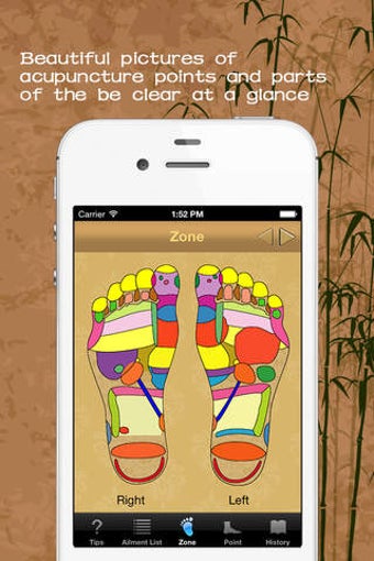 Image 0 for Foot reflexology: home re…