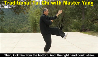 Image 1 for Yang Tai Chi for Beginner…