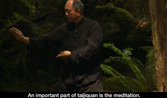 Image 0 for Yang Tai Chi for Beginner…