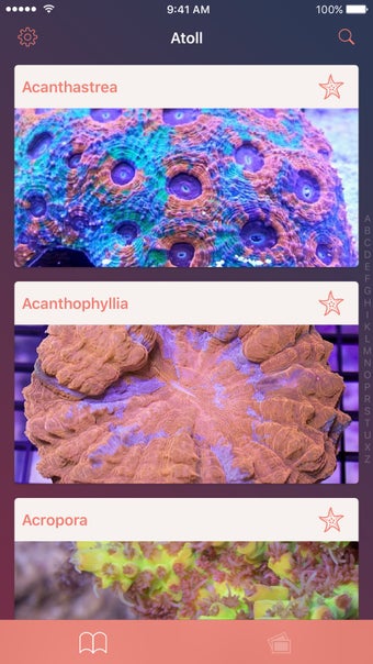 Imagen 2 para Atoll - Coral Identificat…