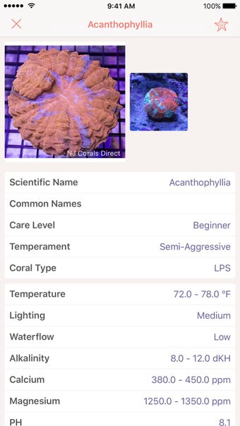 Image 2 for Atoll - Coral Identificat…