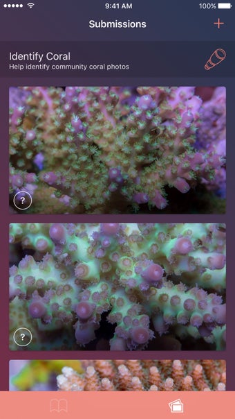 Imagen 0 para Atoll - Coral Identificat…