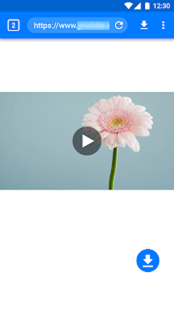 Imagen 1 para Master Video Downloader -…