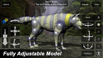 Image 2 for Wolf Mannequin