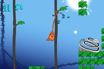 Image 0 for RIN the Tamarin
