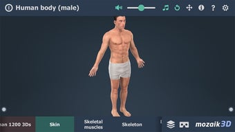Image 1 for Human body (male) 3D