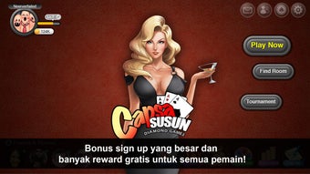 Image 1 for Capsa Susun