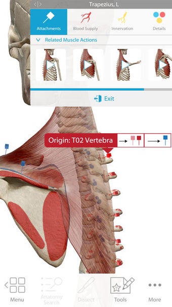 Imagen 2 para Human Anatomy Atlas 2018 …
