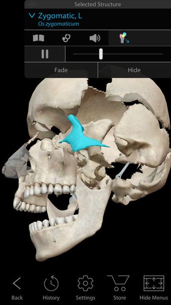 Imagen 0 para Human Anatomy Atlas 2018 …