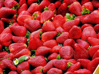 Image 0 for Strawberry Wallpapers