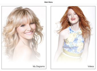 Image 1 for The Makeup System