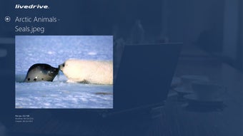 Image 1 for Livedrive for Windows 8