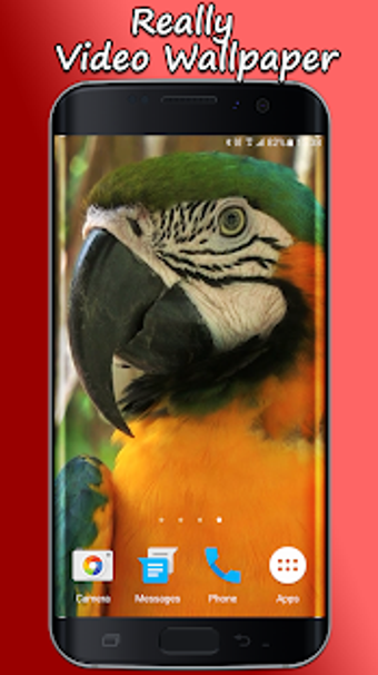 Image 3 for Parrot Live Wallpaper