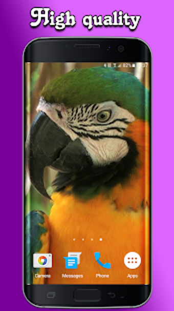 Image 1 for Parrot Live Wallpaper