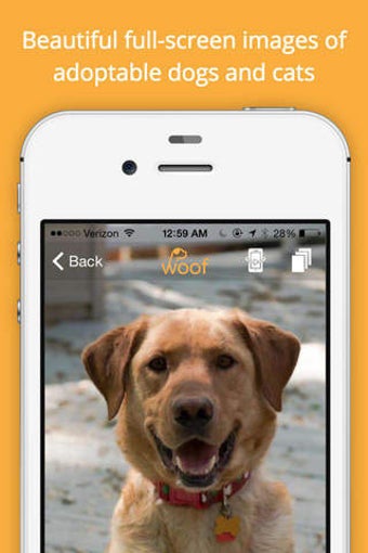 Imagen 0 para WeRescue - Find a Rescue …
