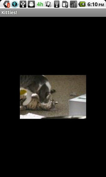 Image 0 for Kitties