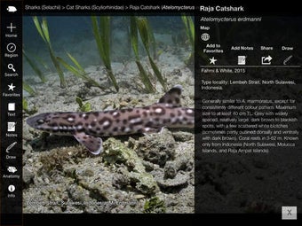 Image 0 for Reef Fishes of the East I…