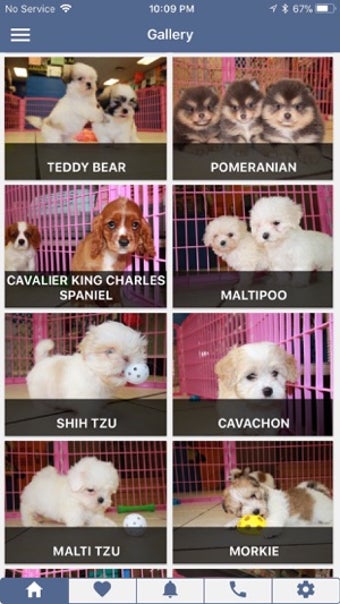 Image 2 for Puppy Notify
