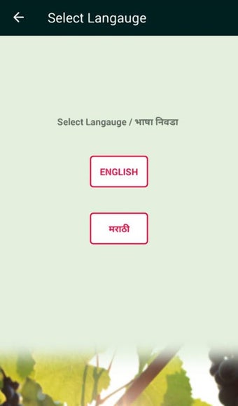 Imagen 0 para Grape Mundo (grape mundo)