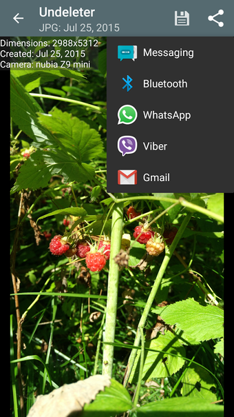 Imagen 1 para Undeleter Recover Files &…