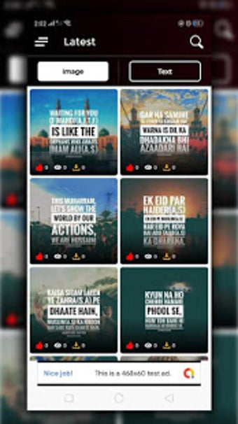 Image 1 for SHIA QUOTES