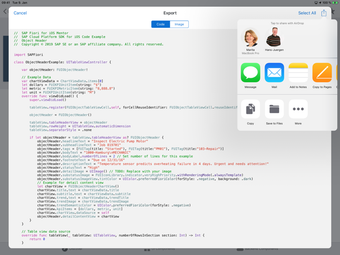 Image 1 for SAP Fiori Mentor