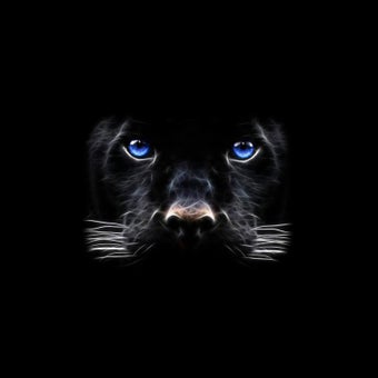 Image 1 for Black Panther Live Wallpa…