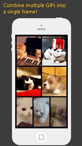 Imagen 3 para GIF Grid Pro - Combine mu…