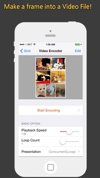 Imagen 0 para GIF Grid Pro - Combine mu…