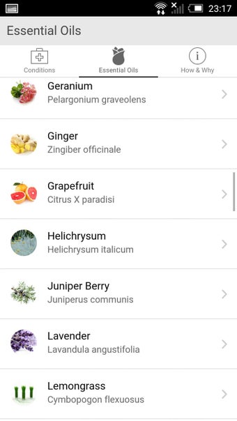 Imagen 0 para Essential Oils & More