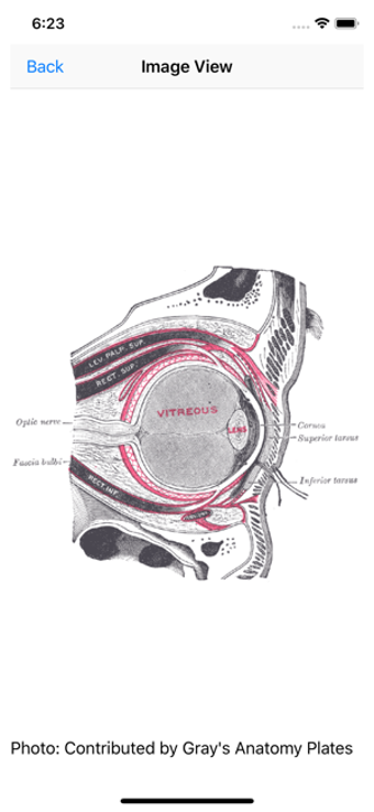 Image 3 for NCLEX Review (PN/RN)