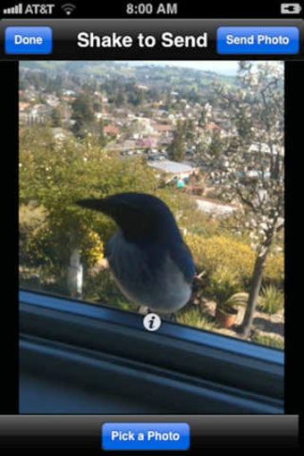 Imagen 0 para photoBang