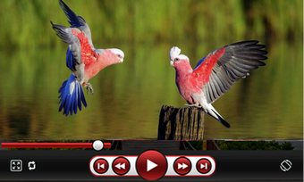 Imagen 3 para HD Video Player