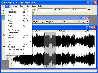 Imagen 0 para WaveShop Portable (32-bit…