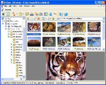Image 0 for NConvert