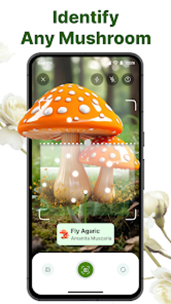Image 0 for Mushroom Identifier - Shr…
