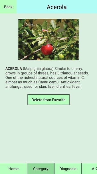 Imagen 1 para Edible Plant Guide
