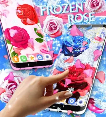 Image 0 for Winter rose live wallpape…