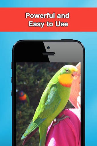 Image 0 for Photo Editor Free.