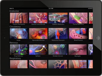 Image 0 for Animated Anatomy and Phys…