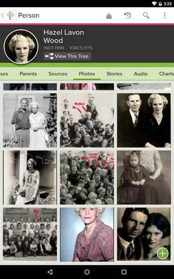 Imagen 2 para FamilySearch Tree