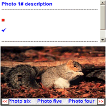 Imagen 0 para PhotoShare