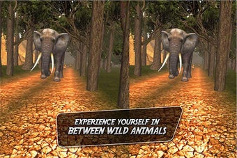 Image 0 for Wild Jungle Tour VR