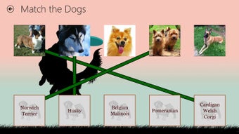 Image 1 for Dog Match for Windows 8