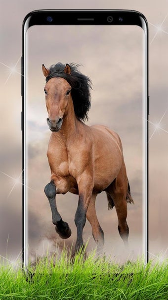Imagen 1 para Running Horse HD Wallpape…