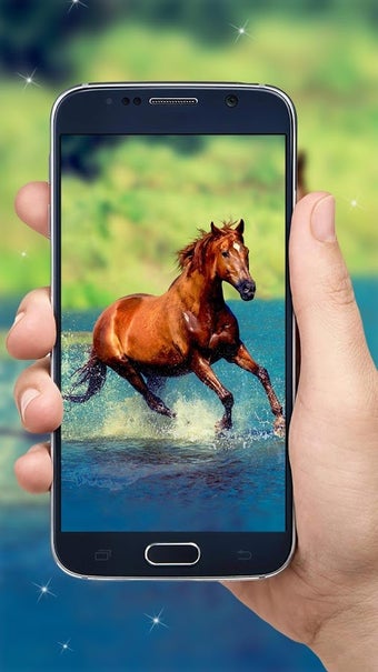 Imagen 2 para Running Horse HD Wallpape…