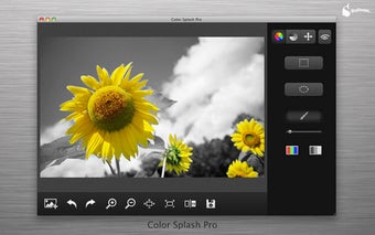 Image 1 for Color Splash Pro