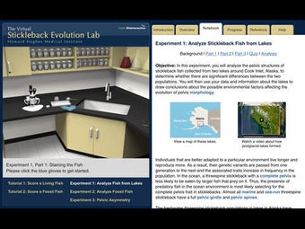 Image 0 for Stickleback Evolution Vir…