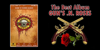 Image 2 for The Best Album Guns N Ros…