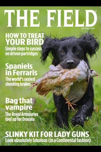 Image 0 for The Field Magazine Intern…